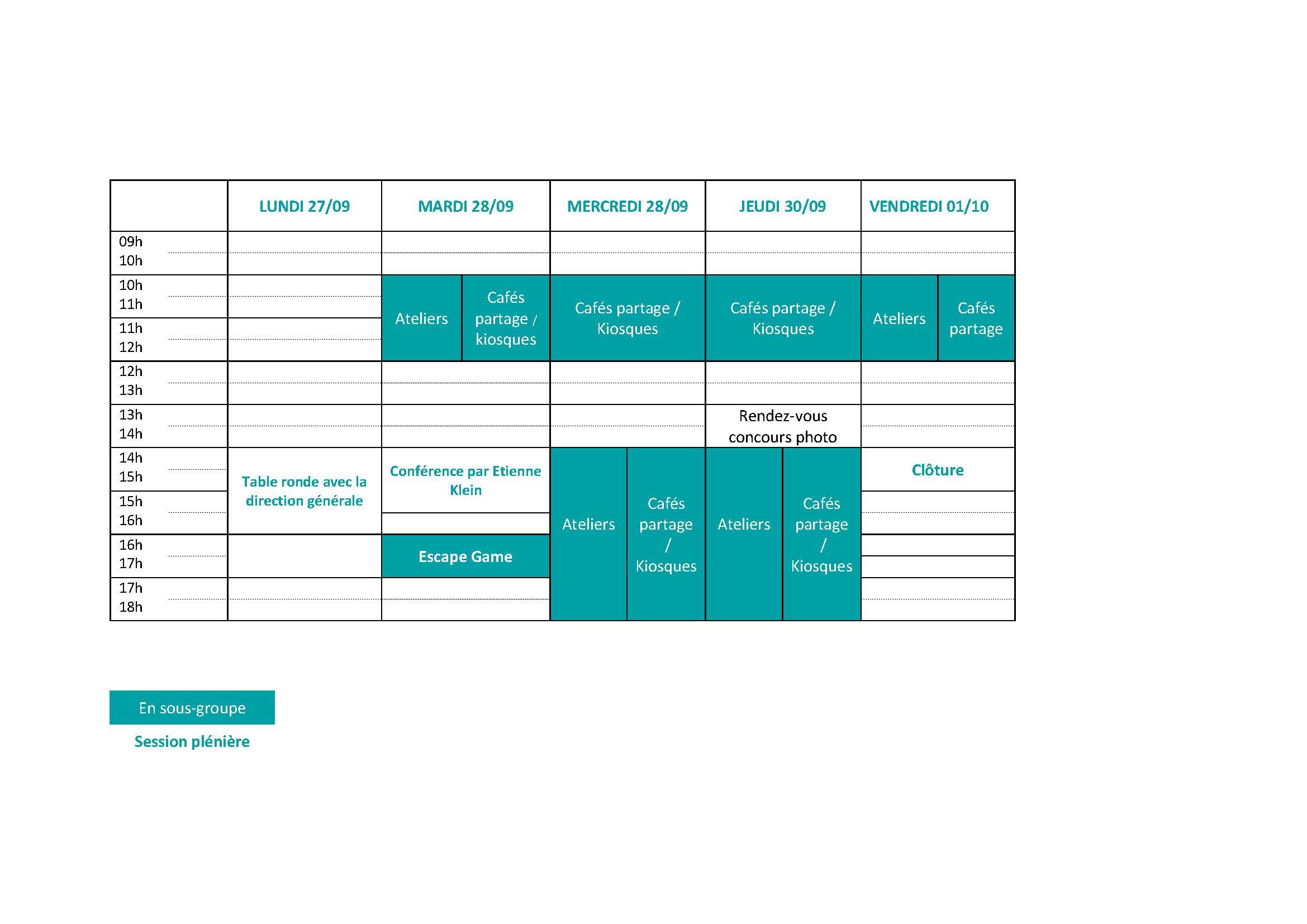 Tableau programme ADN